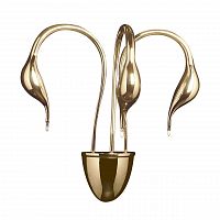 бра lightstar cigno collo 751632 в Орске