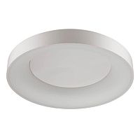 потолочный светодиодный светильник odeon light sole 4062/80cl в Орске