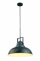 подвесной светильник arte lamp martin a5213sp-1bg в Орске