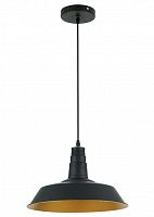 подвесной светильник odeon light kasl 3378/1 в Орске