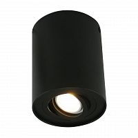 потолочный светильник arte lamp a5644pl-1bk в Орске