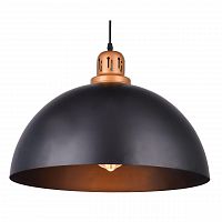 подвесной светильник arte lamp eurica a4249sp-1bk в Орске