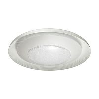 потолочный светодиодный светильник odeon light benso 4623/48cl в Орске