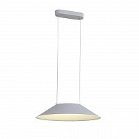 подвесной светодиодный светильник st luce pitto sl427.513.01 в Орске