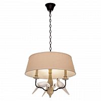 подвесная люстра loft it loft1029a-2 в Орске
