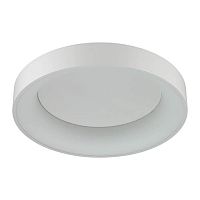 потолочный светодиодный светильник odeon light sole 4062/50cl в Орске